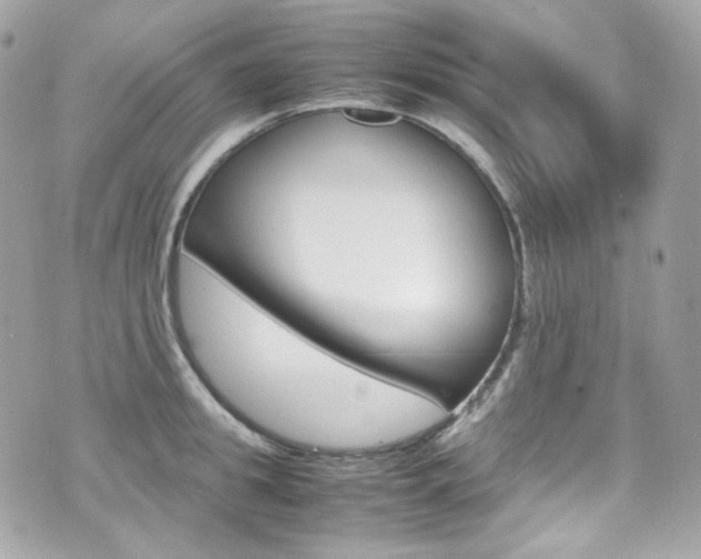 X0000070850949200606160939