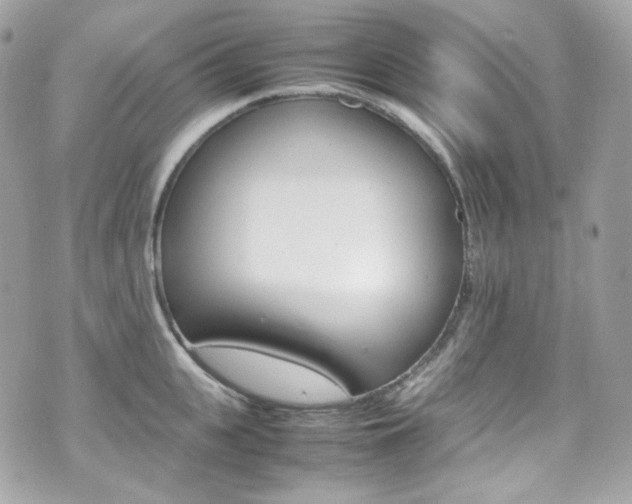 X0000070850951200606160939