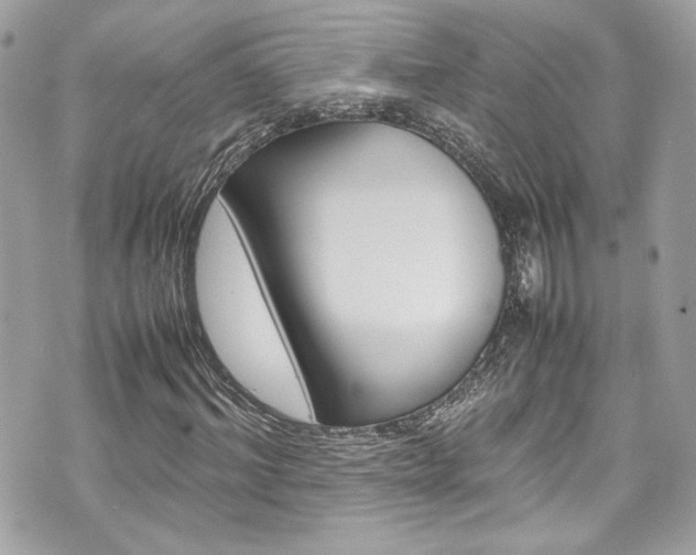 X0000070850964200606160938