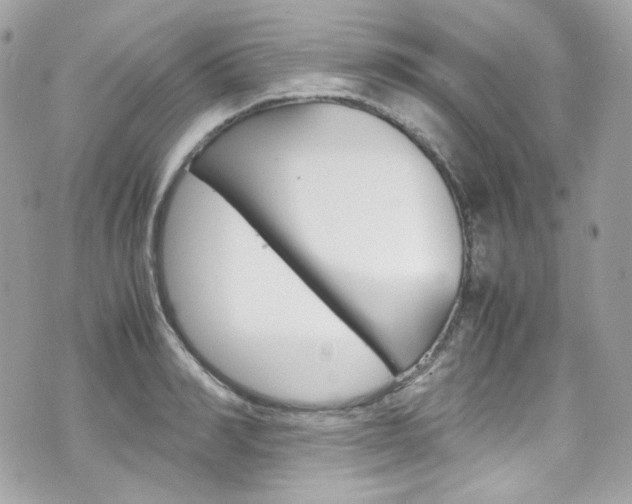 X0000070850990200606160938