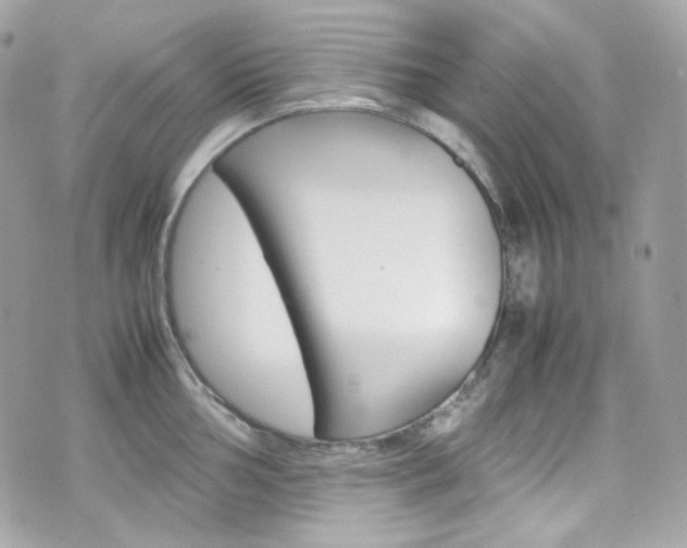 X0000070851002200606160937