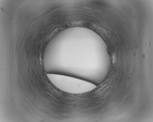 X0000070851011200606160937