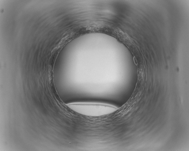 X0000070851012200606160937