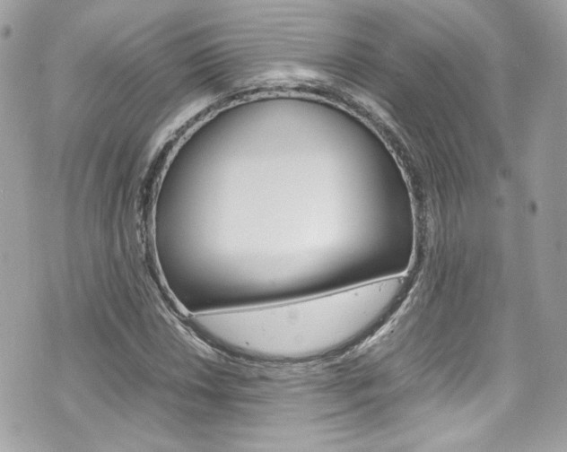 X0000070851018200606160937
