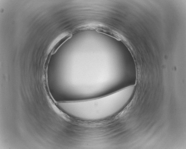 X0000070851042200606160937