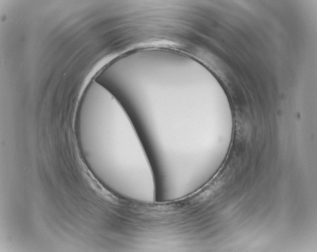 X0000070851044200606160937