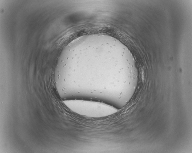 X0000070851059200606160936