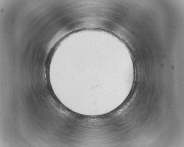 X0000070851070200606160936