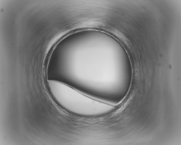 X0000070851077200606160936