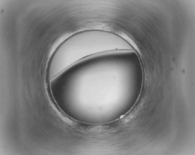 X0000070851093200606160936