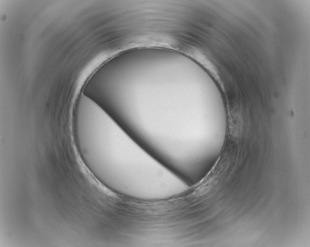 X0000070851096200606160936