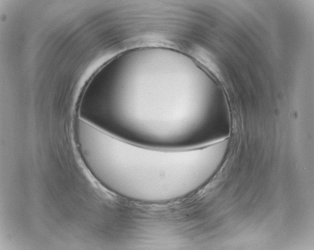 X0000070851144200606160936