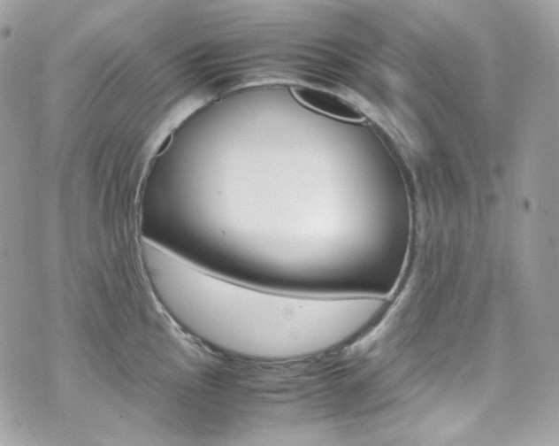 X0000070851145200606160936