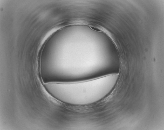 X0000070851147200606160936