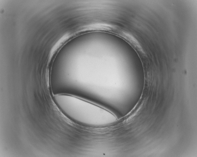 X0000070851180200606160935