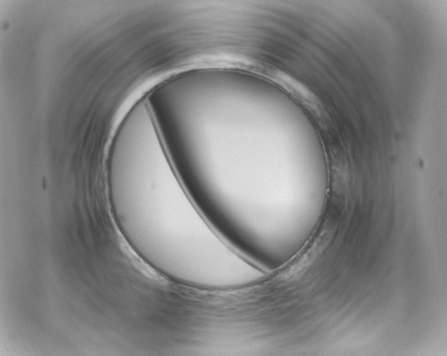 X0000070851192200606160934
