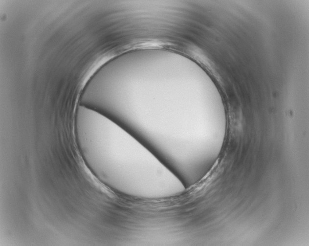 X0000070851194200606160934
