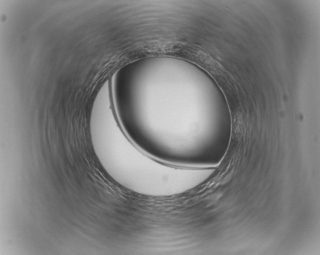 X0000070851202200606160933