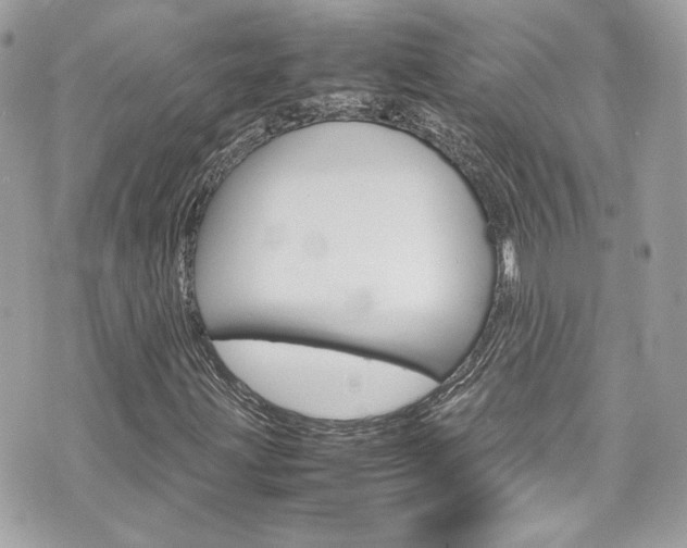 X0000070851203200606160933