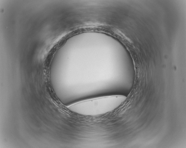 X0000070851208200606160933