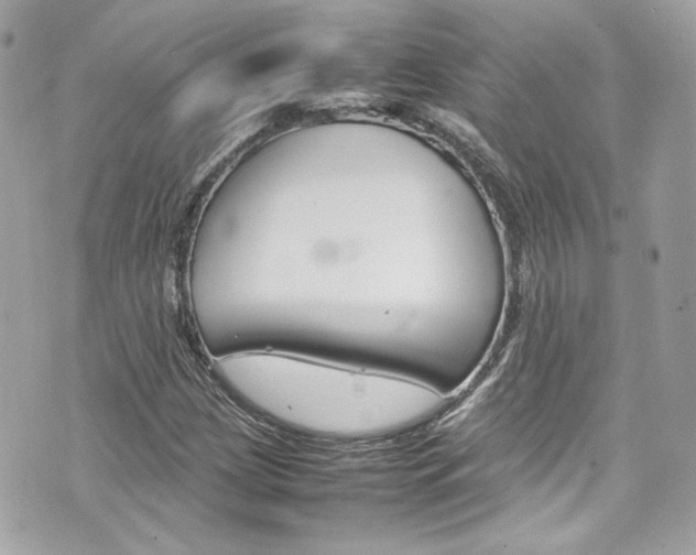 X0000070851209200606160933