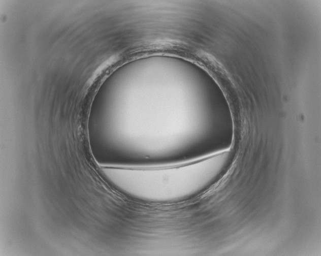 X0000070851210200606160933