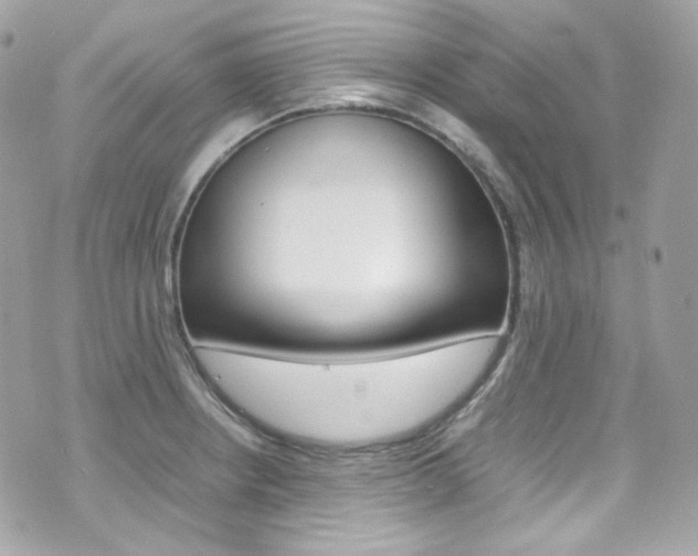 X0000070851234200606160934