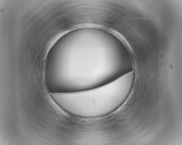 X0000070851244200606160934