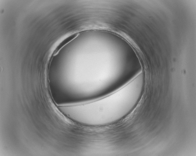 X0000070851246200606160934