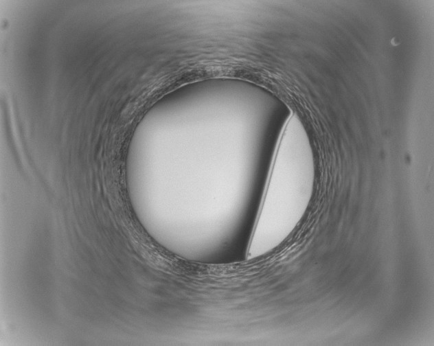X0000070851249200606160933