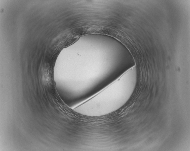 X0000070851250200606160933