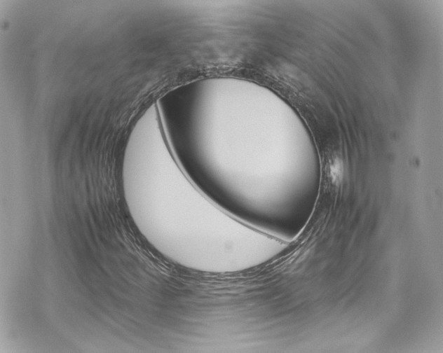 X0000070851252200606160933