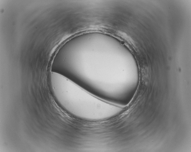 X0000070851260200606160933