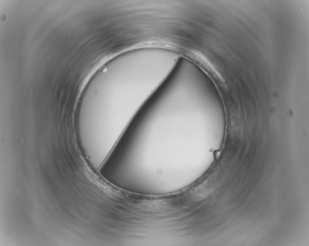 X0000070851276200606160933