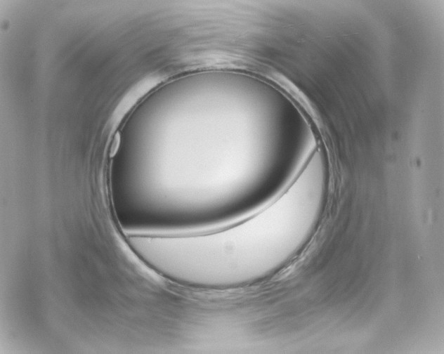 X0000070851293200606160932