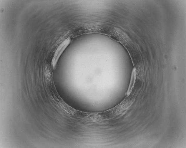 X0000070851298200606160932