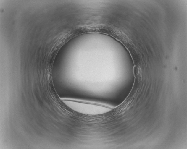 X0000070851300200606160932