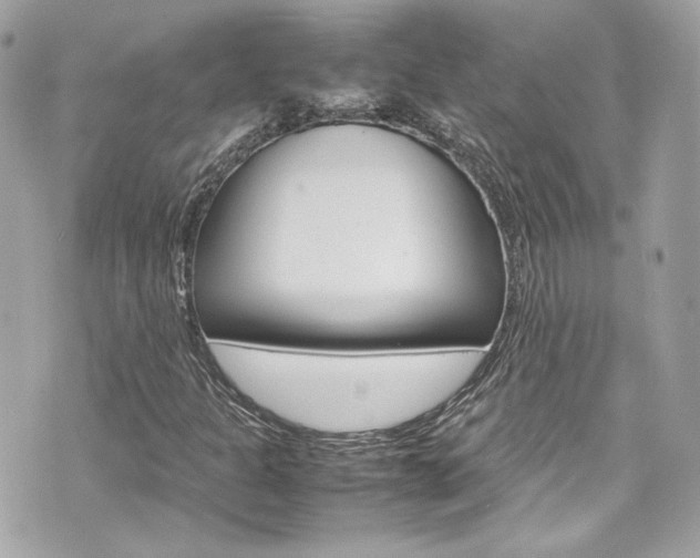 X0000070851301200606160932
