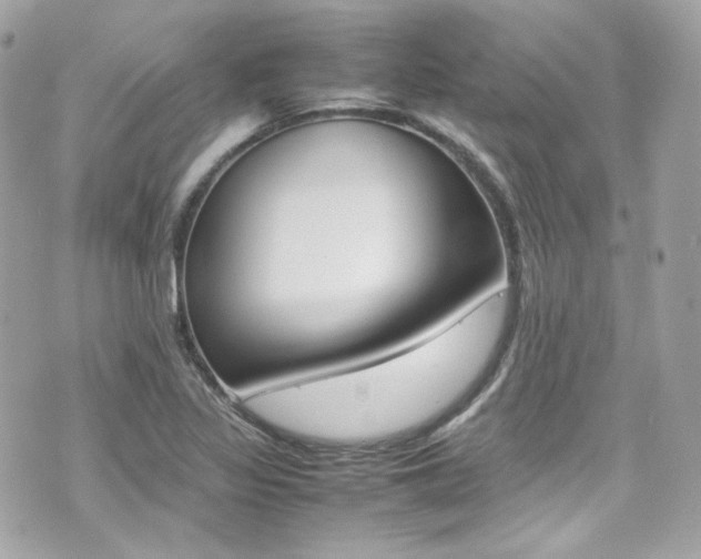 X0000070851317200606160932