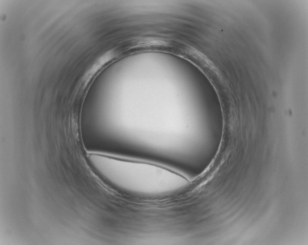 X0000070851321200606160932