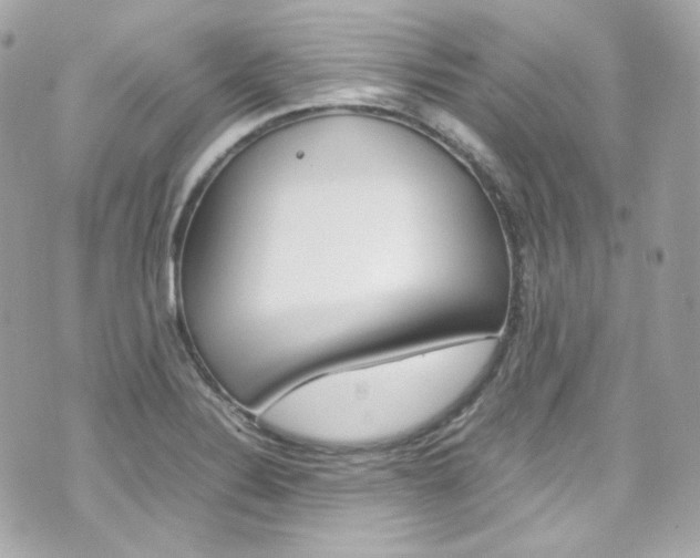 X0000070851324200606160932