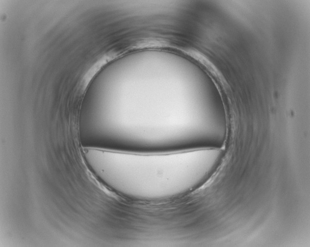 X0000070851337200606160932