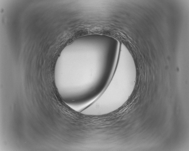 X0000070851345200606160932