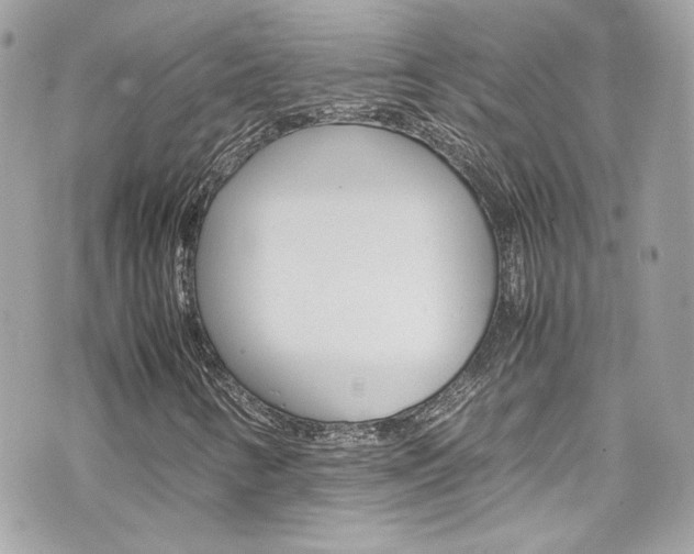 X0000070851346200606160932