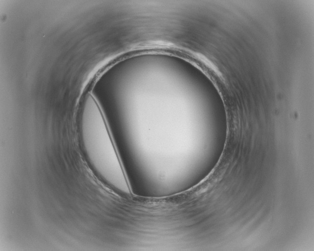 X0000070851364200606160931