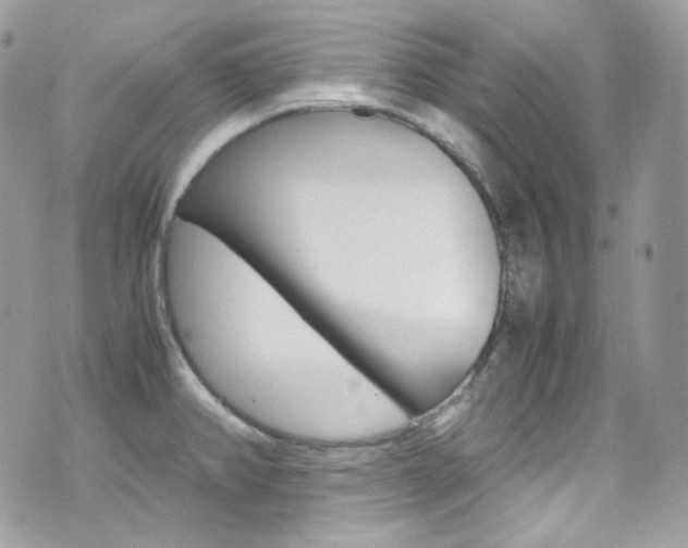 X0000070851382200606160931