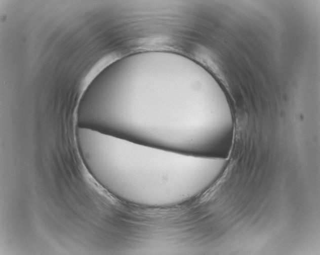 X0000070851386200606160931