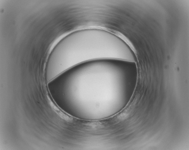 X0000070851388200606160931