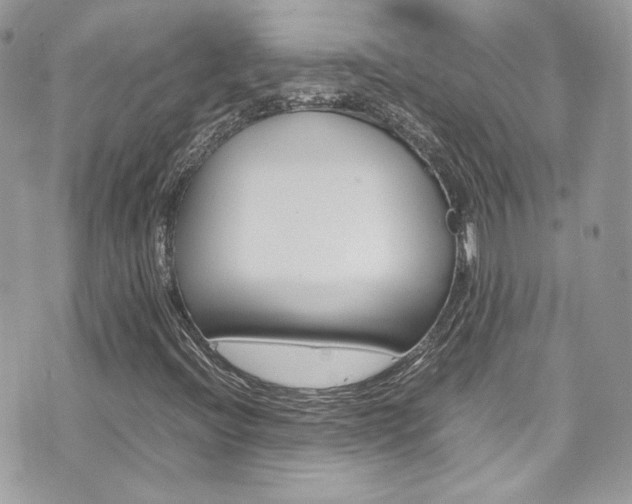 X0000070851396200606160930