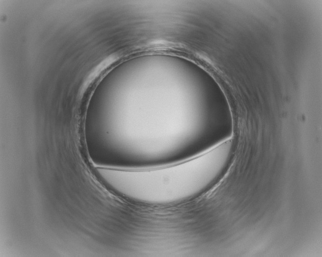 X0000070851410200606160930